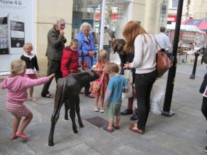 The Chippenham Calf