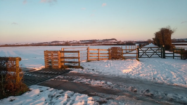 Cycle Track