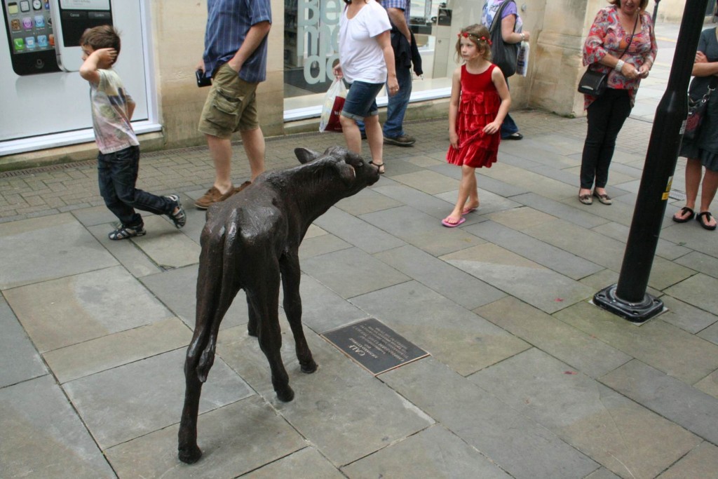 Calf by Richard Cowdy